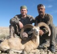Sheep and Ibex hunting 