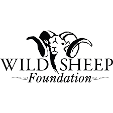 Wild Sheep Fundation