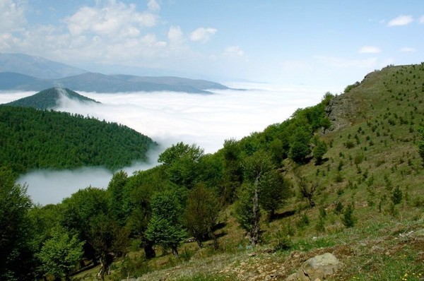 اطلاعات کلی درباره طبیعت گردی اطلاعات کلی درباره طبیعت گردی