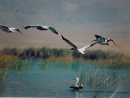 Parishan Lake