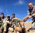 Sheep and Ibex hunting 