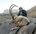 Sheep and Ibex hunting 