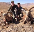 Sheep and Ibex hunting 