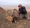Sheep and Ibex hunting 