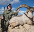 Sheep and Ibex hunting 