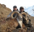 Sheep and Ibex hunting 