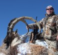 Sheep and Ibex hunting 
