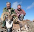 Sheep and Ibex hunting 