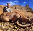 Sheep and Ibex hunting 