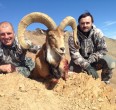 Sheep and Ibex hunting 
