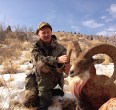 Sheep and Ibex hunting 