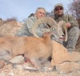 Sheep and Ibex hunting 