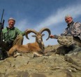 Sheep and Ibex hunting 
