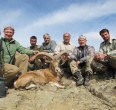 Sheep and Ibex hunting 