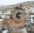 Sheep and Ibex hunting 