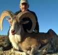 Sheep and Ibex hunting 