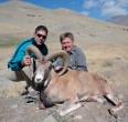 Sheep and Ibex hunting 