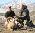 Sheep and Ibex hunting 