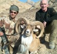 Sheep and Ibex hunting 