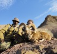 Sheep and Ibex hunting 