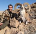 Sheep and Ibex hunting 