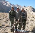 Sheep and Ibex hunting 