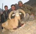 Sheep and Ibex hunting 