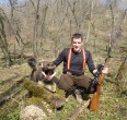 Wild Boar