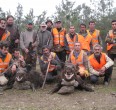 Wild Boar