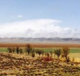 Landscapes