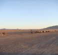 Landscapes