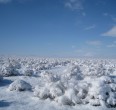Landscapes