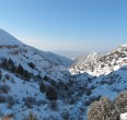 Landscapes