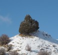 Landscapes