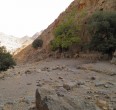 Landscapes