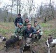 Wild Boar