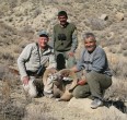 Sheep and Ibex hunting 