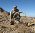 Sheep and Ibex hunting 