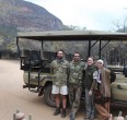Safari